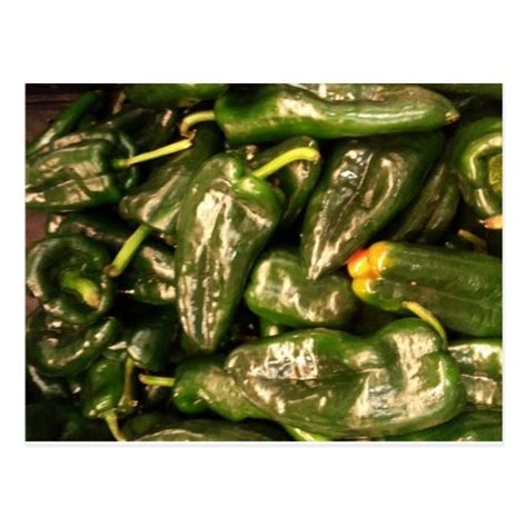 Dried Jalapeno Peppers Postcard | Zazzle