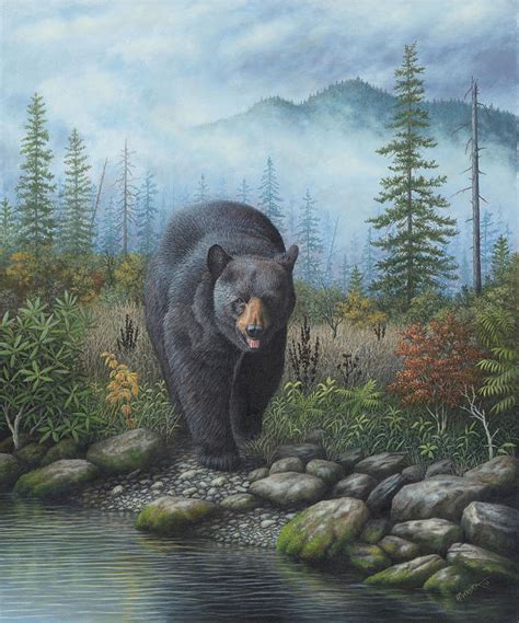 Smoky Mountain Black Bear Painting by Robert Wavra - Pixels