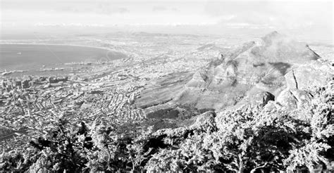 In South Africa Cape Town City Skyline From Table Mountain Sky Ocean And House Photo Background ...