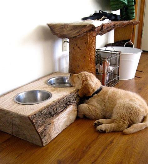 35 DIY Dog Feeding Station Ideas That Safe For Pets | HomeMydesign