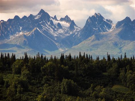 Welcome to Beautiful Gustavus Alaska - Alaskan Anglers Inn