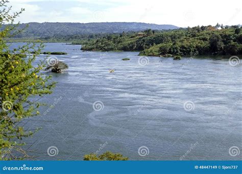 The Source of the White Nile River in Uganda Stock Image - Image of lake, banks: 48447149