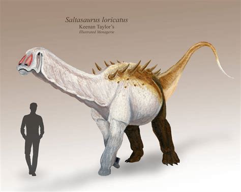 Saltasaurus by IllustratedMenagerie on DeviantArt