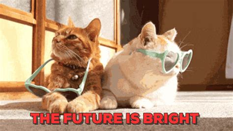 Future Is Bright GIFs - Find & Share on GIPHY