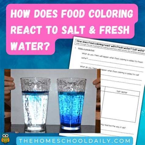 Salt Water Experiment Pack - The Homeschool Daily