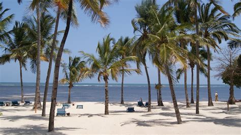 Malindi beach, Central Kenya, Kenya - Ultimate guide (August 2024)