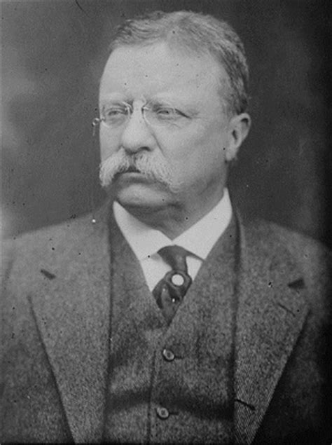 Theodore Roosevelt's New Nationalism | Definition & Significance | Study.com