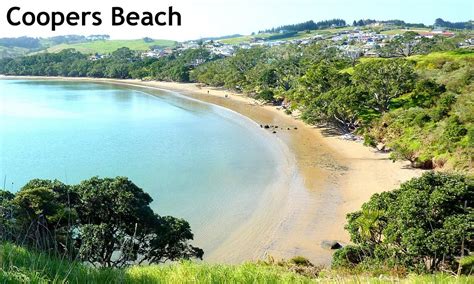 Coopers Beach 2021: Best of Coopers Beach, New Zealand Tourism ...