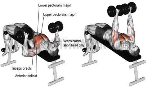 Decline dumbbell bench press