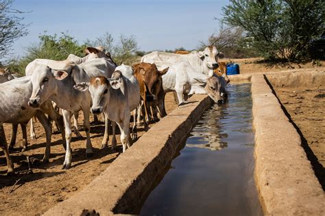 Adapting Aid to Address the Climate Crisis in Ethiopia