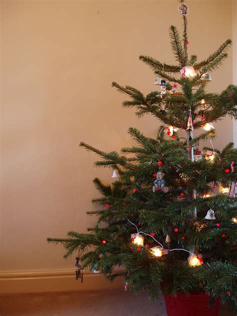 Photo of traditional christmas tree | Free christmas images