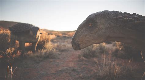 Dinosaur Trail & Tracks | Moab Giants Dinosaur Park