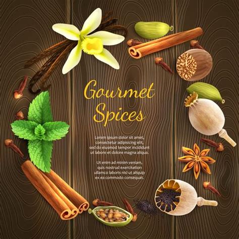 Spices on dark background 454518 Vector Art at Vecteezy