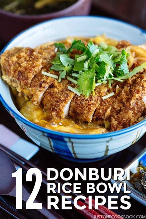 12 Donburi (Japanese Rice Bowls) Recipes • Just One Cookbook