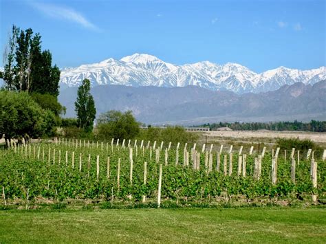 My visit to Mendoza including a wine-tasting tour of Mendoza