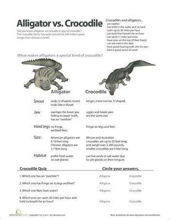 Alligator vs. Crocodile | Interactive Worksheet | Education.com ...