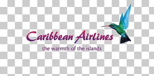 Caribbean Airlines PNG Images, Caribbean Airlines Clipart Free Download