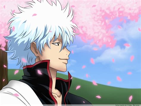 Sakata Gintoki - Gintama Photo (22517379) - Fanpop