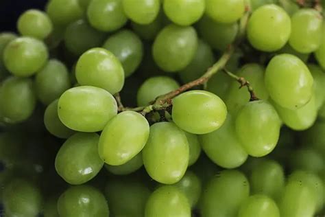 Numerous Health Benefits Of Consuming Green Grapes