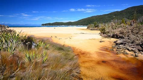 9 of the best Abel Tasman beaches | Intrepid Travel Blog - The Journal