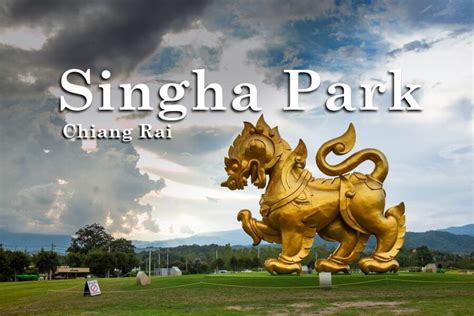 A MOMENT OF FUN AND RELAXATION AT SINGHA PARK