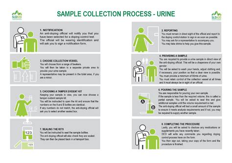 Sample collection process - urine by SLOADO - Issuu