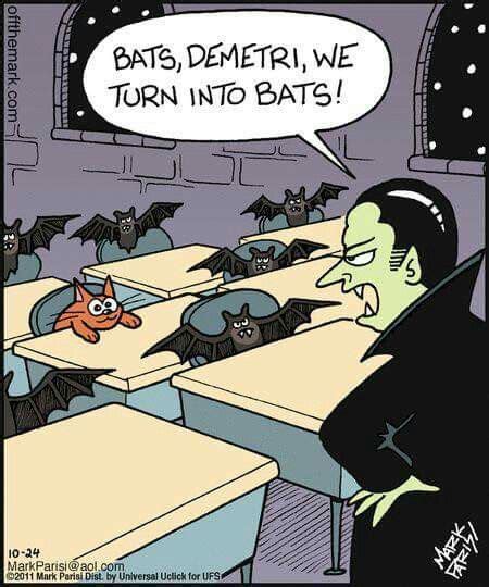 Pin by Nicoles Galaxy on Bats | Halloween funny, Halloween jokes, Funny cartoons