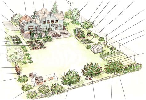 Lovely drawing. | Farm layout, Backyard farming, Backyard landscaping plans