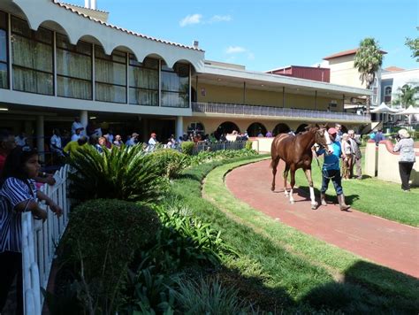 Horseracing | Trail of the Lion King