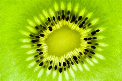 Premium Photo | Kiwi slice