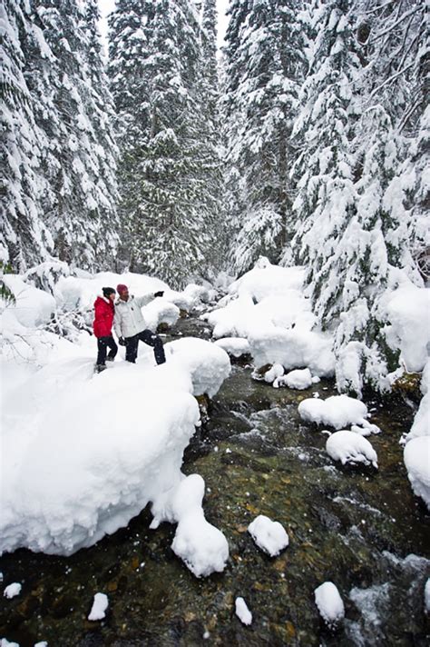 Whistler Snowshoeing | Canadian Wilderness Adventures