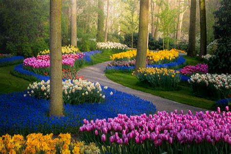 Photographer Captures The Keukenhof Tulip Gardens Empty For The First Time In 71 Years (31 Pics ...