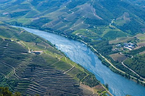 A Complete Guide to the Douro Valley Wine Region