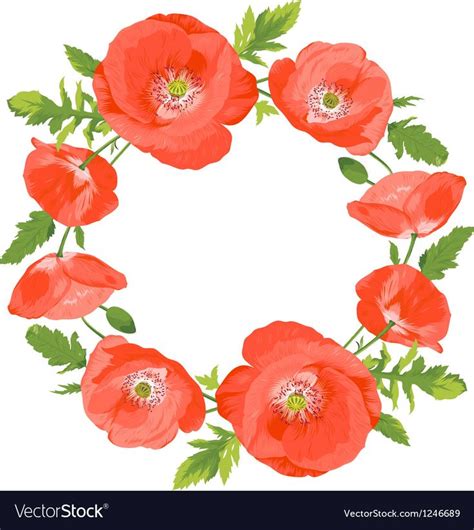 Poppies wreath Royalty Free Vector Image - VectorStock , #ad, #Royalty ...