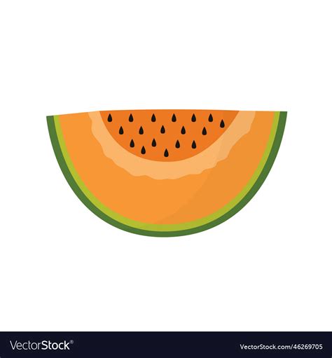 Slice of cantaloupe melon isolated element summer Vector Image