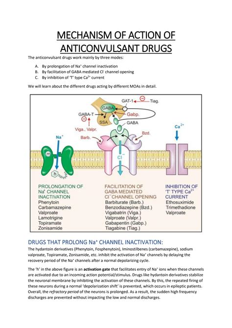 SOLUTION: Mechanism of action of anticonvulsant drugs - Studypool