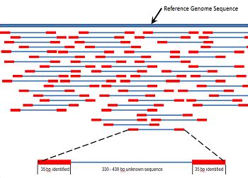 Neurospora Genetics | Characteristics & Uses | Study.com