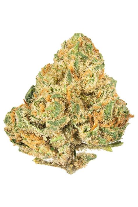 Buy Alien OG - Potent Indica Hybrid Strain | JuicedDC