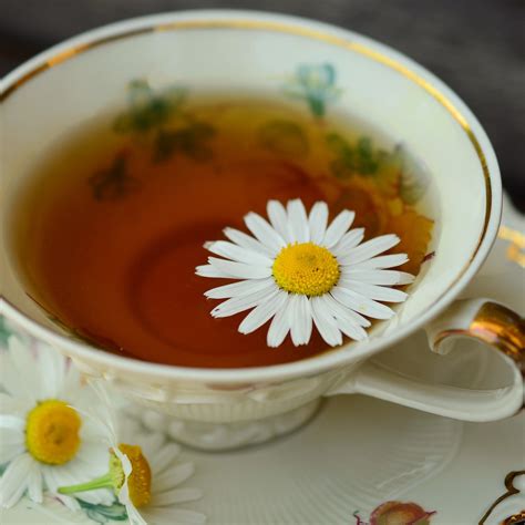 chamomile tea | Health Topics | NutritionFacts.org