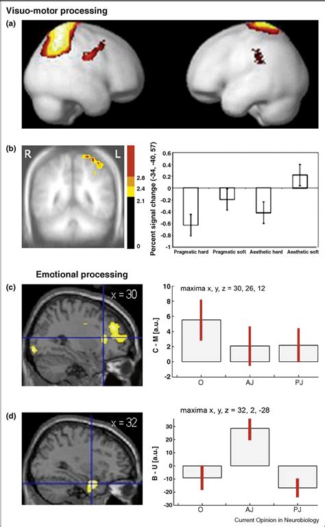 Figure 1 from Neuroaesthetics: a review | Semantic Scholar