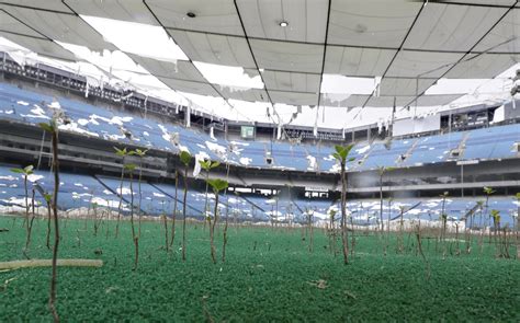 44 Haunting Photographs Of Abandoned Sports Venues | HuffPost