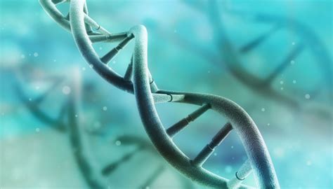 All You Need to Know about Epigenetics, Methylation and Cancer