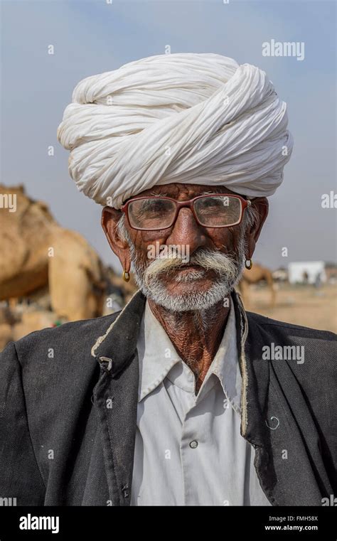 Nagaur Cattle Fair, Rajasthan Stock Photo - Alamy