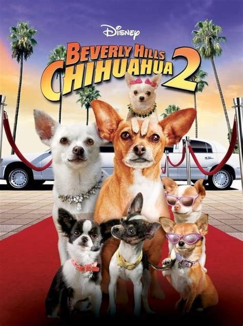 Who Does Chloes Voice In Beverly Hills Chihuahua