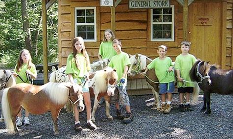 Land of Little Horses Farm Park - OLD ACCOUNT in Gettysburg, Pennsylvania | Groupon