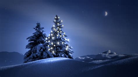 Christmas-Trees-Wallpaper-Backgrounds-1 - Cothay Manor