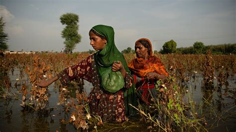 Effects Of Floods On Crops