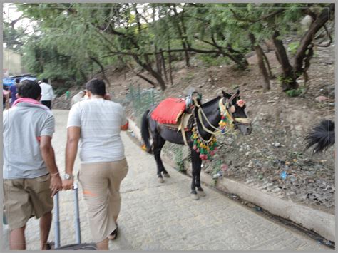 Vaishno Devi Yatra 9 - Ghumakkar - Inspiring travel experiences.