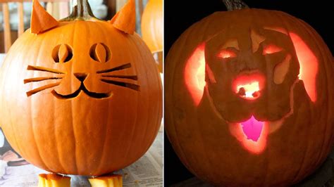 8 spooktacular cat and dog pumpkin carving ideas you will love this Halloween | PetsRadar