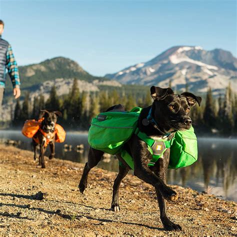 These Dog Backpacks For Hiking Are Designed For Comfort & Safety